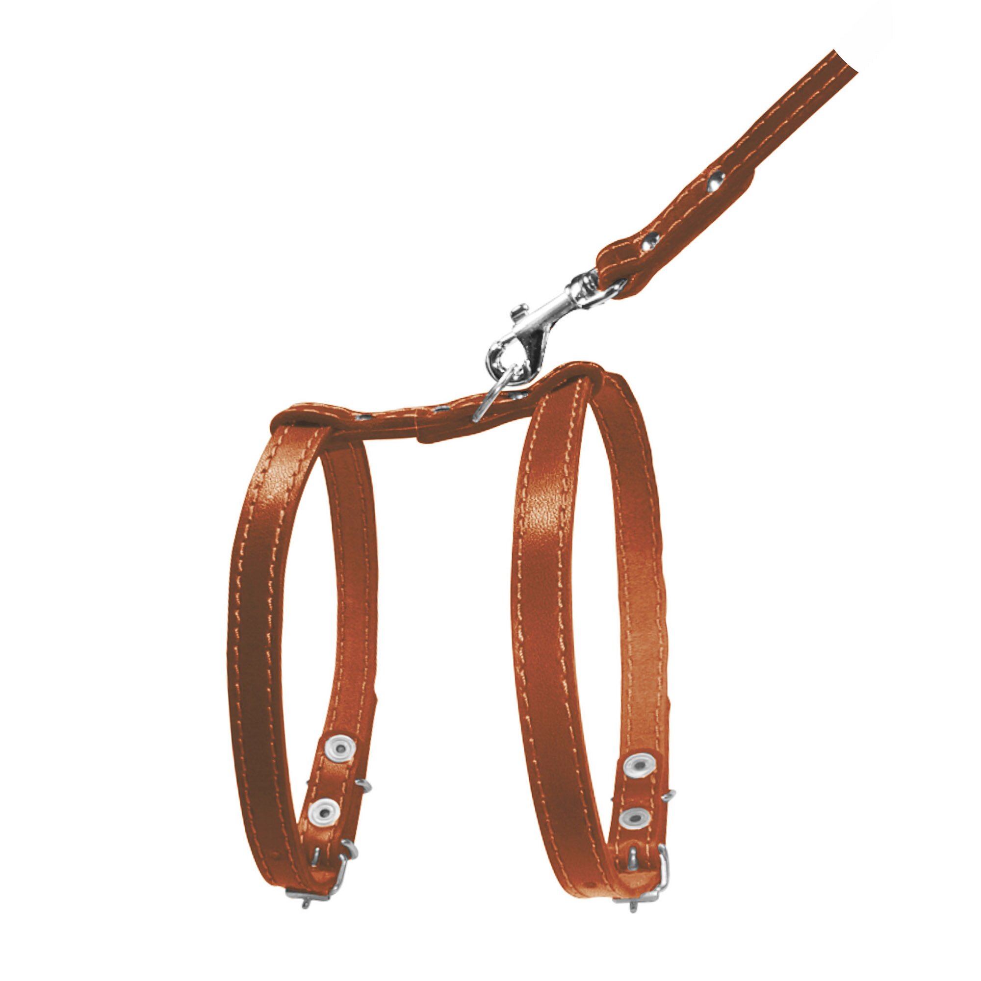 Шлейка с поводком Collar кожаная А:33-41 см / В:43-51 см / 1,22 м / 14 мм (черная) Шлейка с поводком Collar кожаная А:33-41 см / В:43-51 см / 1,22 м / 14 мм (черная)
