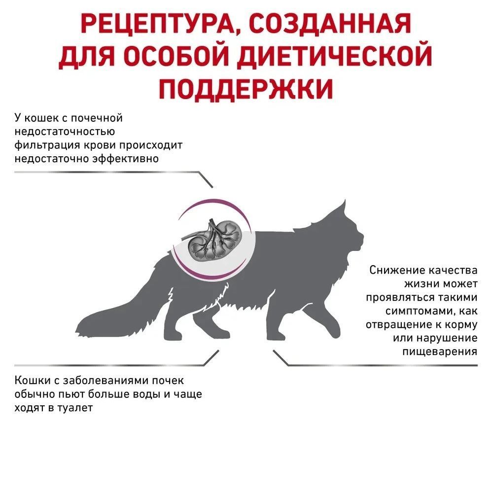 Royal Canin Renal набор сухого и влажного корма для кошек 2 кг + 4 шт х 85 г