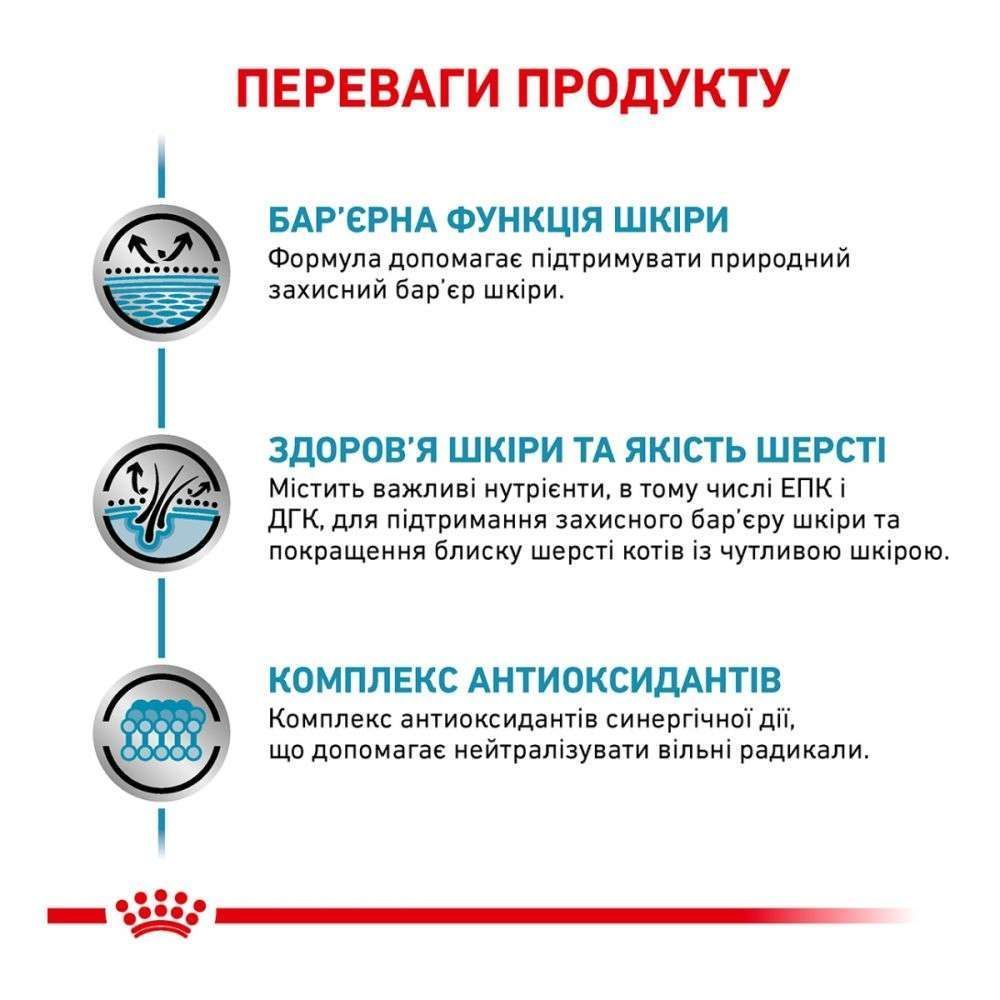 Набор сухого и влажного корма для кошек Royal Canin Skin & Coat 3,5 кг + 12 шт. по 85 г Набор сухого и влажного корма для кошек Royal Canin Skin & Coat 3,5 кг + 12 шт. по 85 г