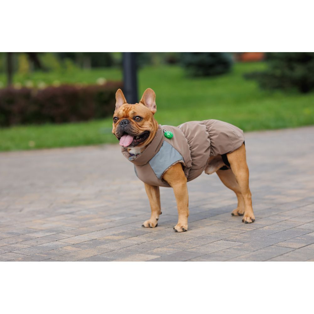 Жилет для собак Pet Fashion Chip S