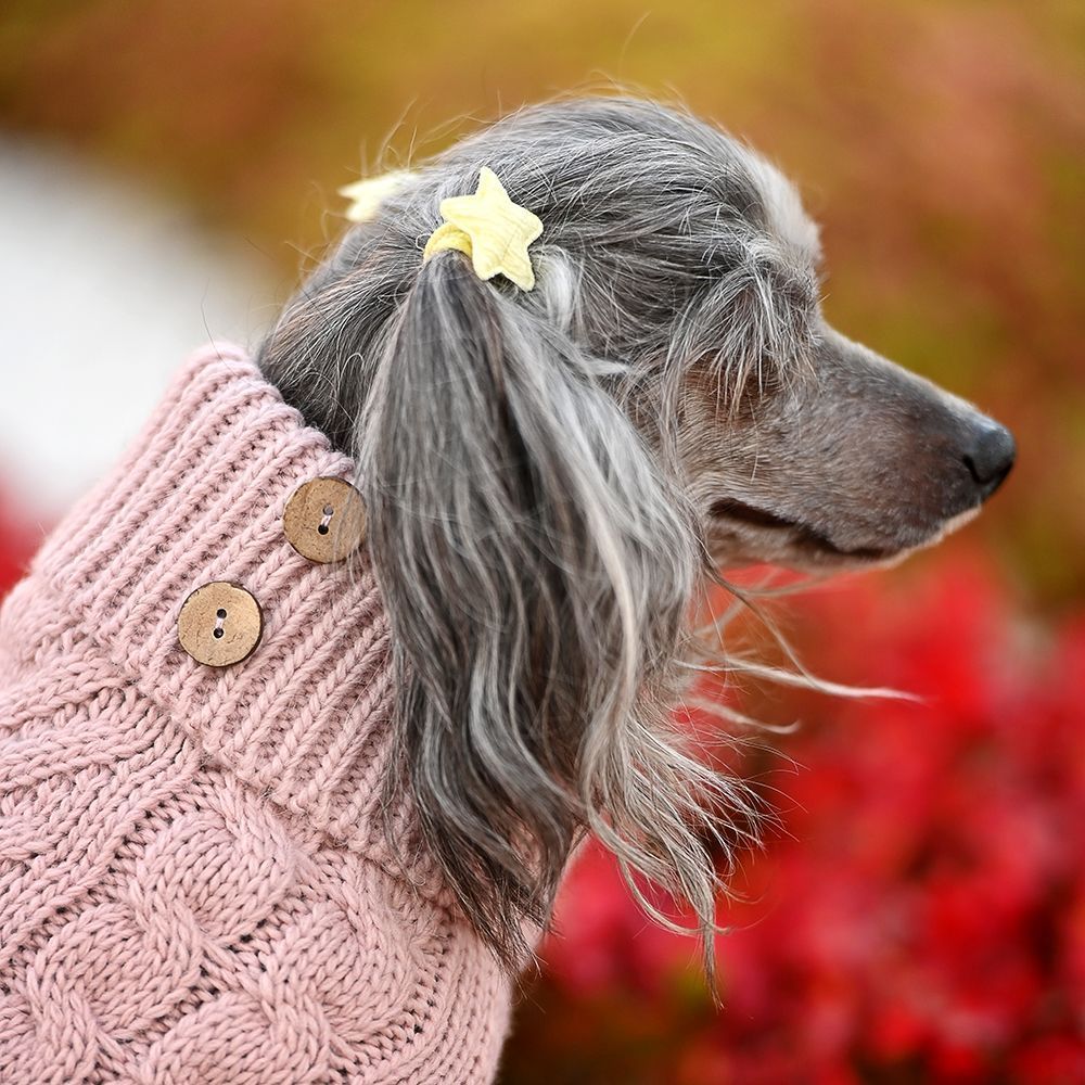 Noble Pet Antony светр для собак XS - рожевий