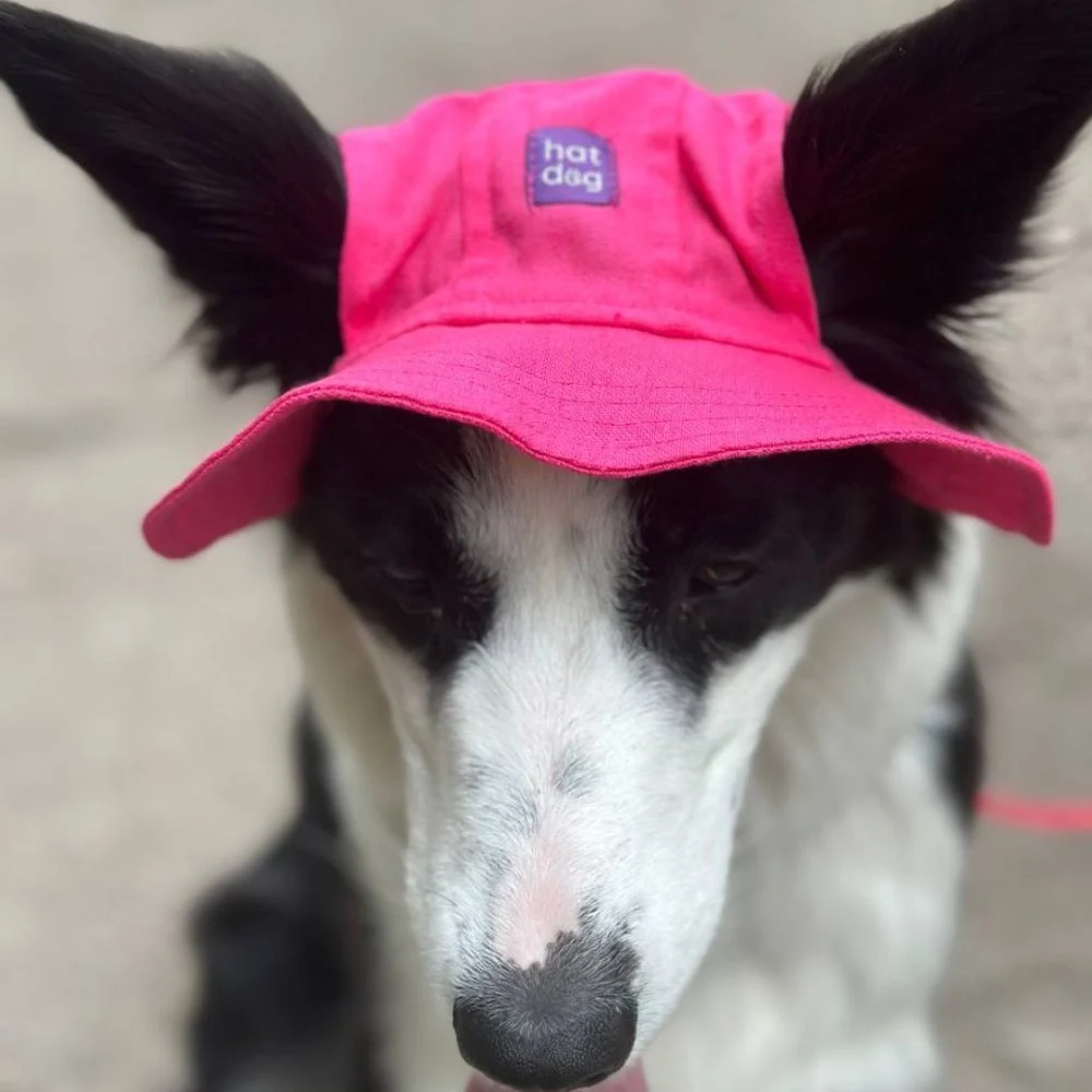 Панама для собак Hat-Dog L - малиновий Панама для собак Hat-Dog L - малиновий