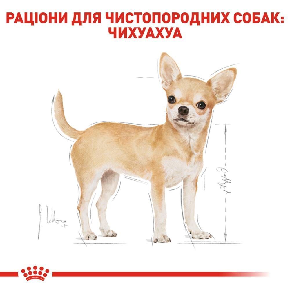 Упаковка влажного корма для собак Royal Canin Chihuahua Adult 9+3 шт. х 85 г