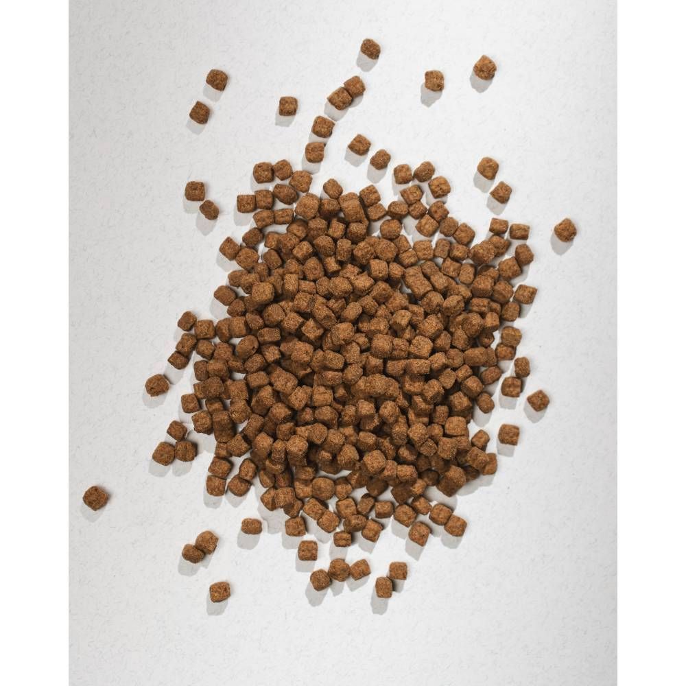 Сухой корм для кошек Half&Half Sensitive Digestion 300 г — индейка + лакомства для кошек Half&Half Meaty Stick 5 г — индейка Сухой корм для кошек Half&Half Sensitive Digestion 300 г — индейка + лакомства для кошек Half&Half Meaty Stick 5 г — индейка