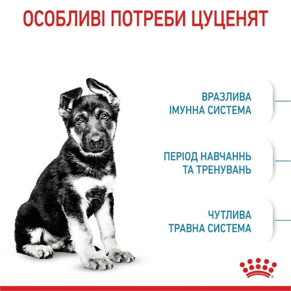 Сухой корм для щенков Royal Canin Maxi Puppy 1 кг Сухой корм для щенков Royal Canin Maxi Puppy 1 кг