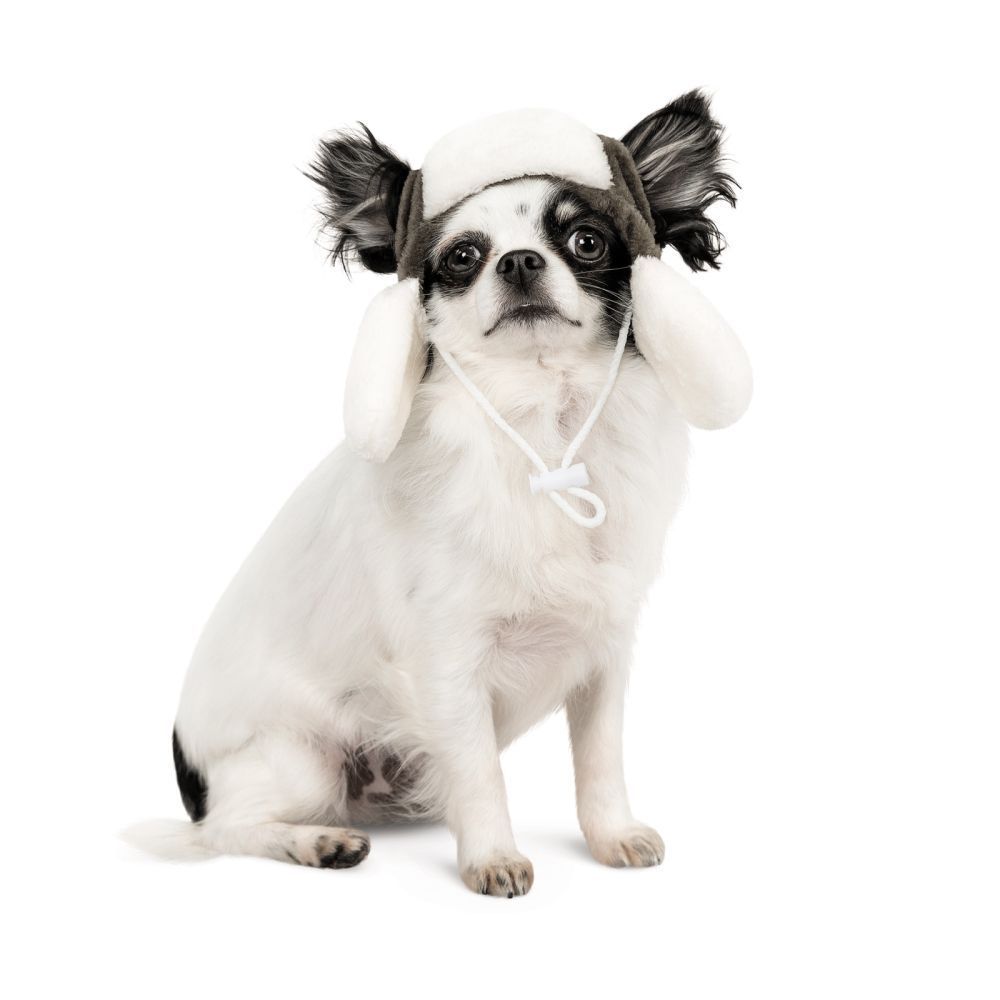 Шапка для собак Pet Fashion «Bubo» S