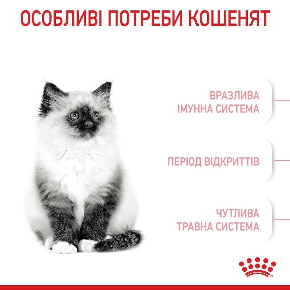 Набір сухого та вологого корму для кошенят Royal Canin Kitten 2 кг + 4 шт х 85 г