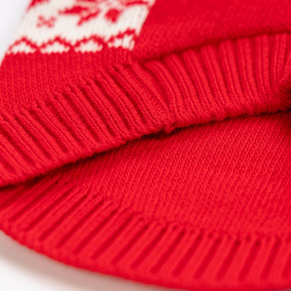 Светр для собак Pet Fashion Winter XS