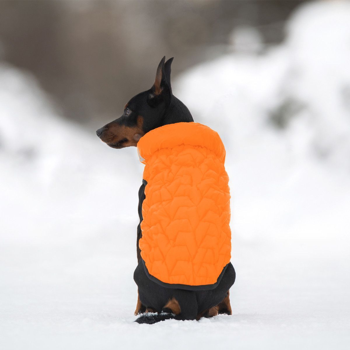 Collar AiryVest UNI куртка для собак M-48