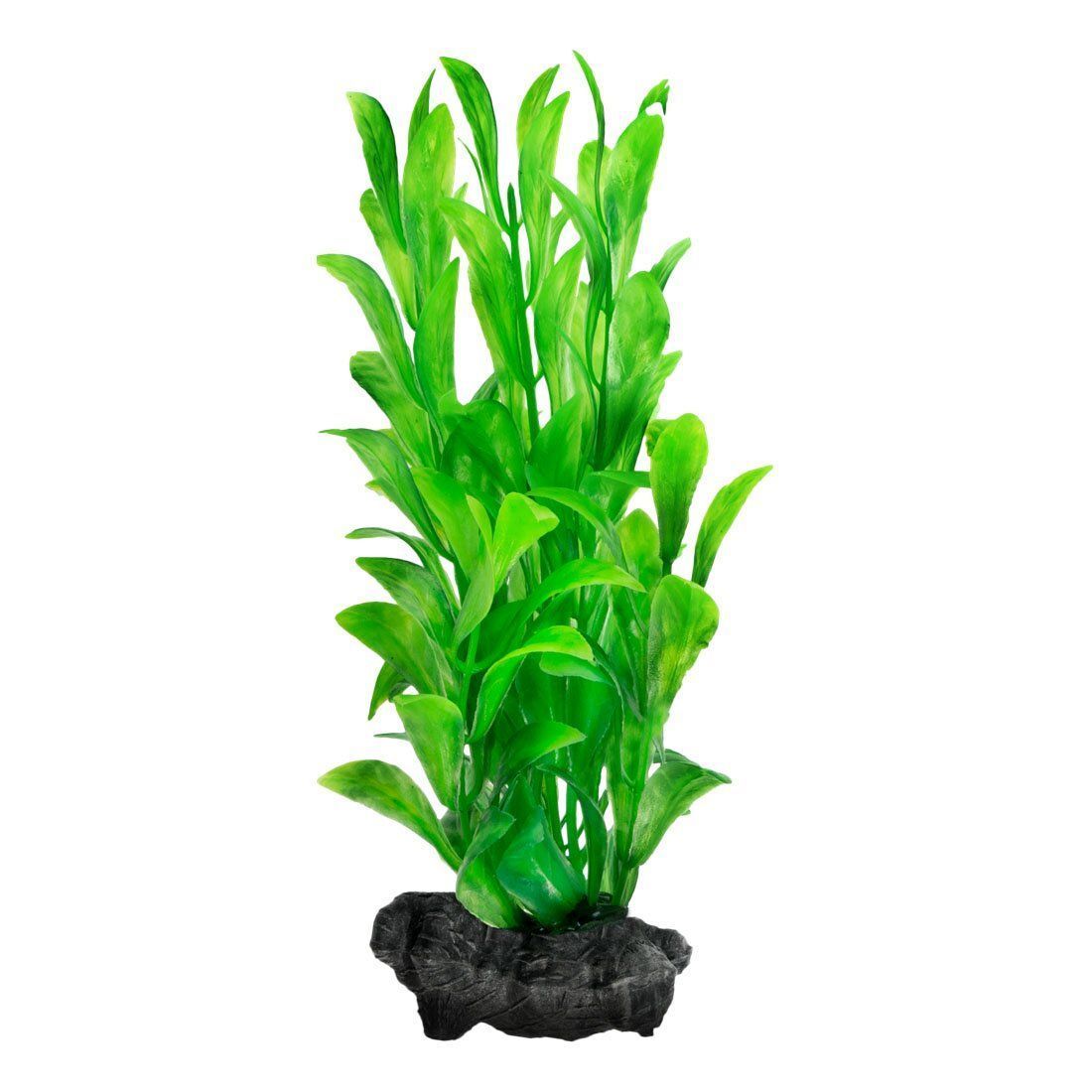 Декорация для аквариума Tetra DecoArt Plantastics растение с утяжелителем «Hygrophila» L 30 см (пластик) Декорация для аквариума Tetra DecoArt Plantastics растение с утяжелителем «Hygrophila» L 30 см (пластик)