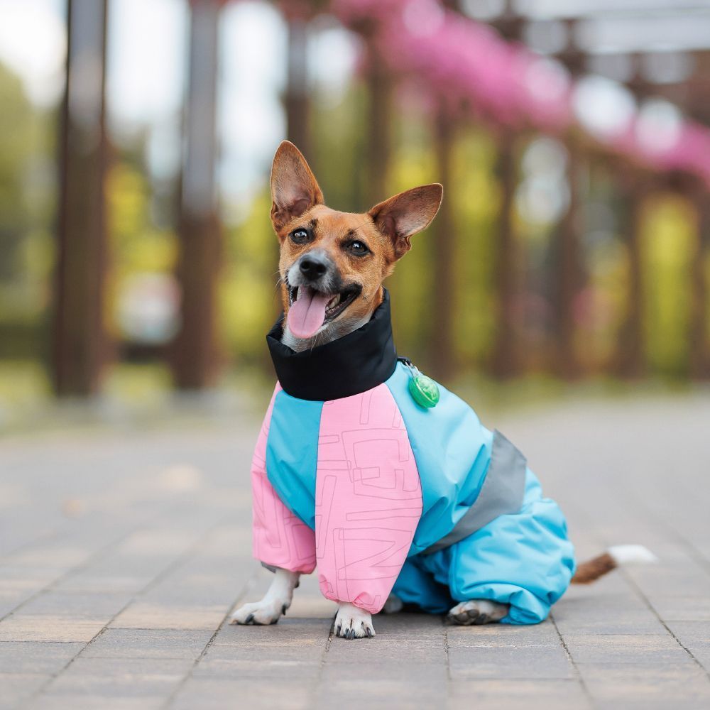 Pet Fashion Milly комбінезон для собак L коргі