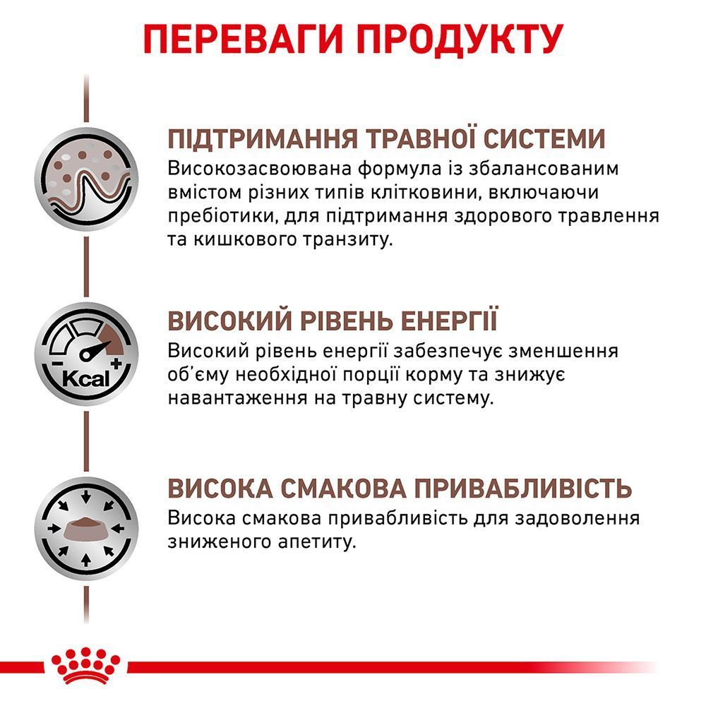 Набор сухого и влажного корма для кошек Royal Canin Gastrointestinal 4 кг + 12 шт. по 85 г Набор сухого и влажного корма для кошек Royal Canin Gastrointestinal 4 кг + 12 шт. по 85 г