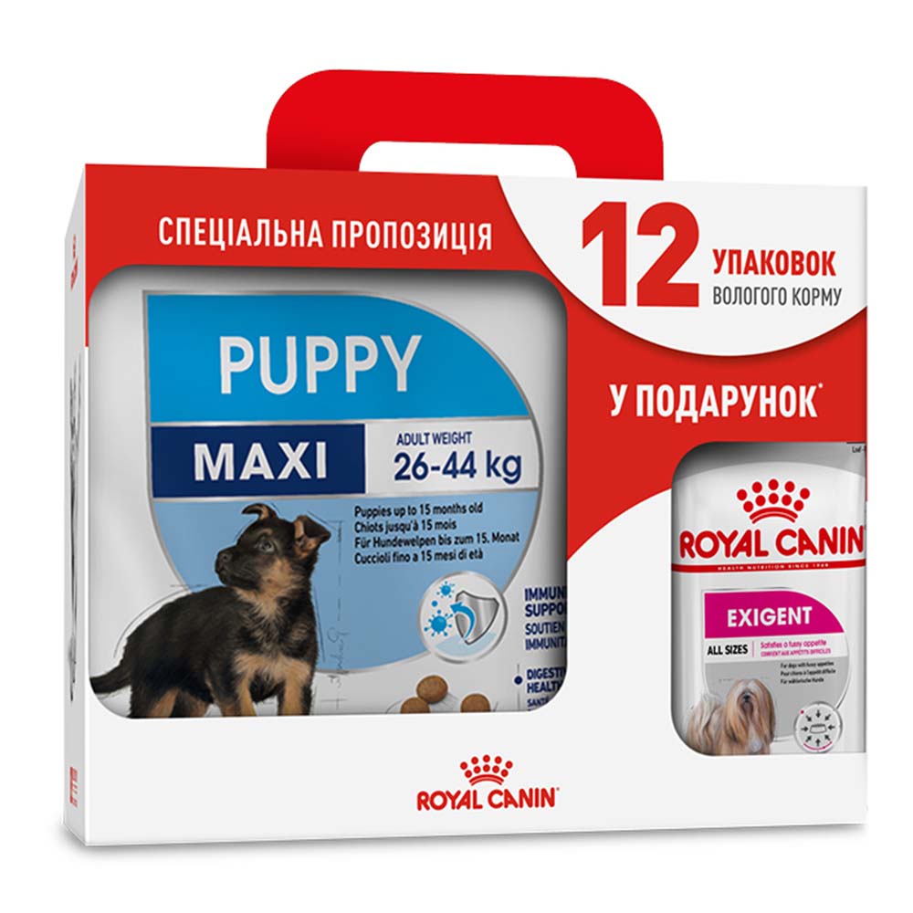 Набор сухого и влажного корма для щенков Royal Canin Maxi Puppy 4 кг + Exigent Loaf pouch 12 шт. по 85 г Набор сухого и влажного корма для щенков Royal Canin Maxi Puppy 4 кг + Exigent Loaf pouch 12 шт. по 85 г