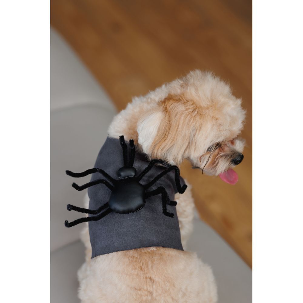 Pet Fashion Spider аксесуар для собак S-M Pet Fashion Spider аксесуар для собак S-M