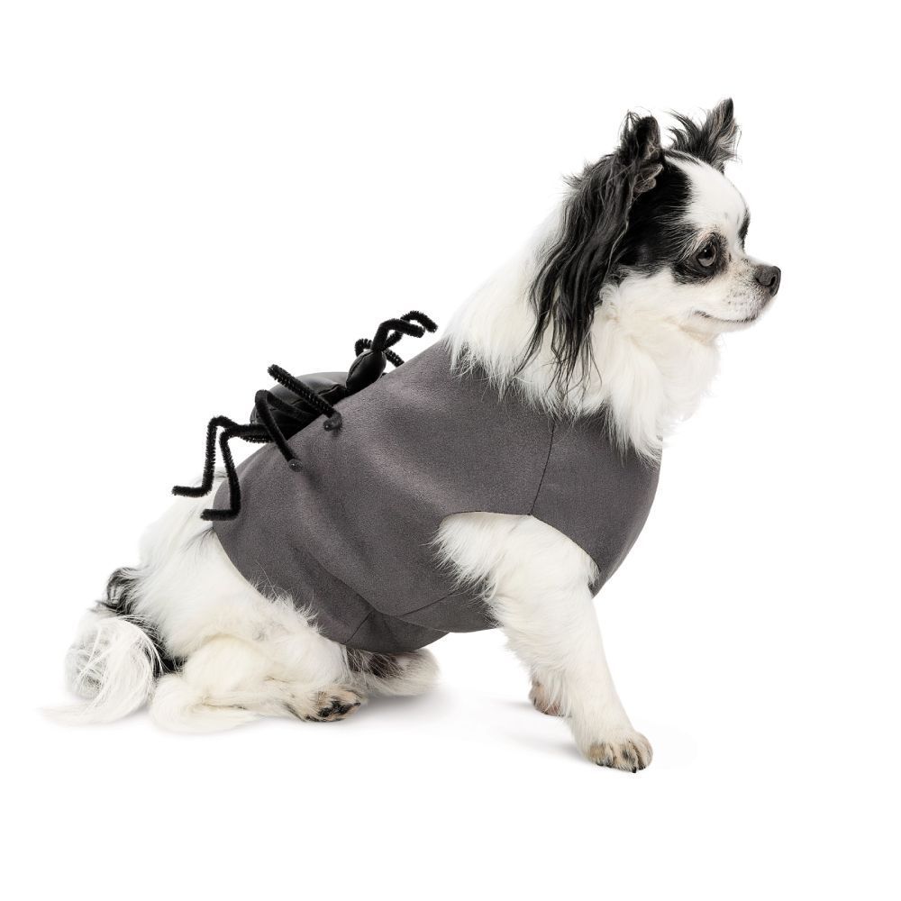 Pet Fashion Spider аксесуар для собак S-M Pet Fashion Spider аксесуар для собак S-M