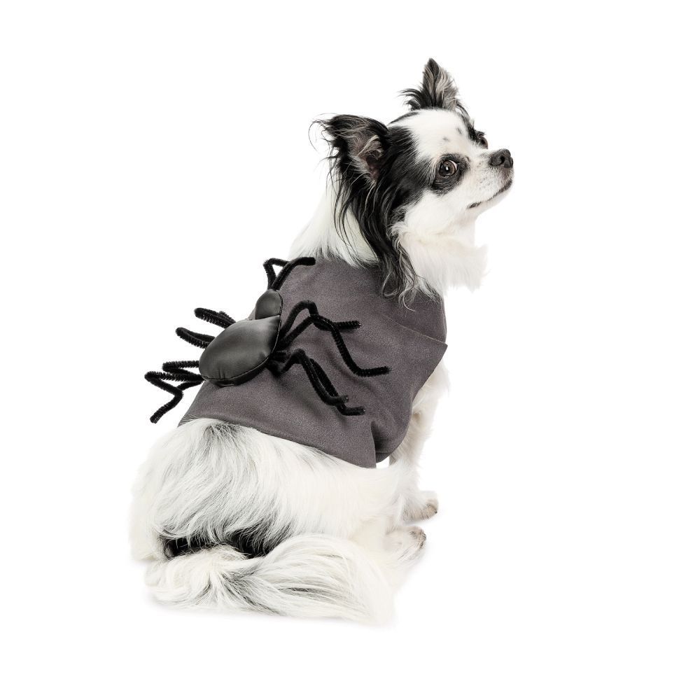 Pet Fashion Spider аксесуар для собак S-M Pet Fashion Spider аксесуар для собак S-M