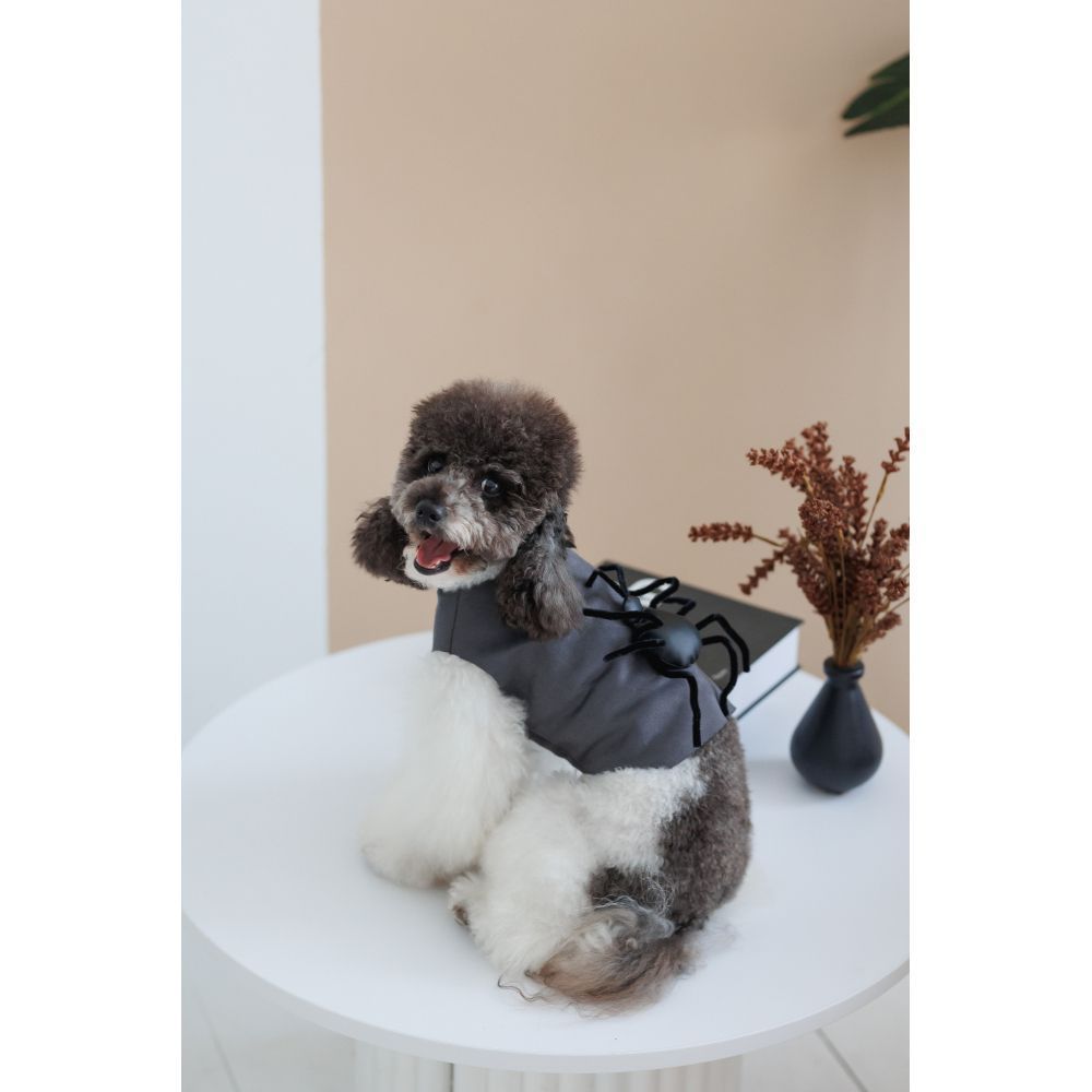 Pet Fashion Spider аксесуар для собак S-M Pet Fashion Spider аксесуар для собак S-M