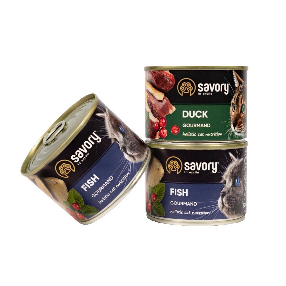 Набір сухого та вологого корму для котів Savory Sensitive 2 кг + 600 г - ягня та індичка Набір сухого та вологого корму для котів Savory Sensitive 2 кг + 600 г - ягня та індичка