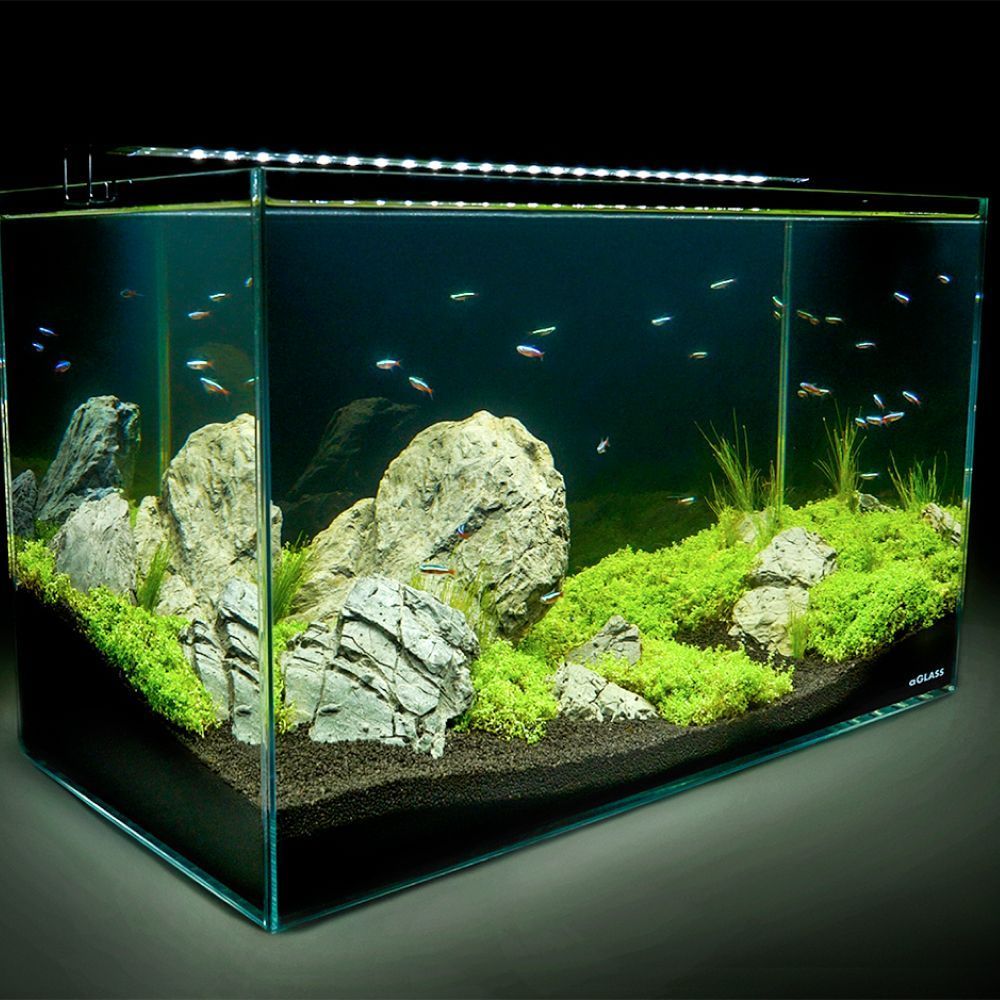 Акваріумний LED-світильник Collar AquaLighter Slim 6500 К, 60 см