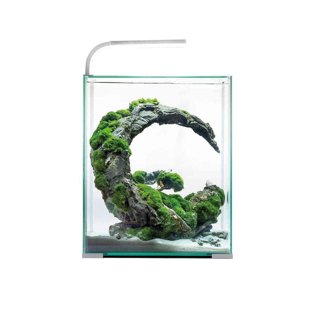 Акваріумний набір Aquael «Shrimp Set Smart» білий, прямий (19 л) Акваріумний набір Aquael «Shrimp Set Smart» білий, прямий (19 л)