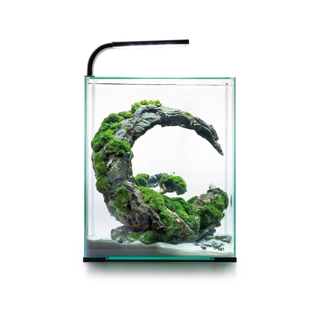 Акваріумний набір Aquael «Shrimp Set Smart» чорний, прямий (30 л) Акваріумний набір Aquael «Shrimp Set Smart» чорний, прямий (30 л)