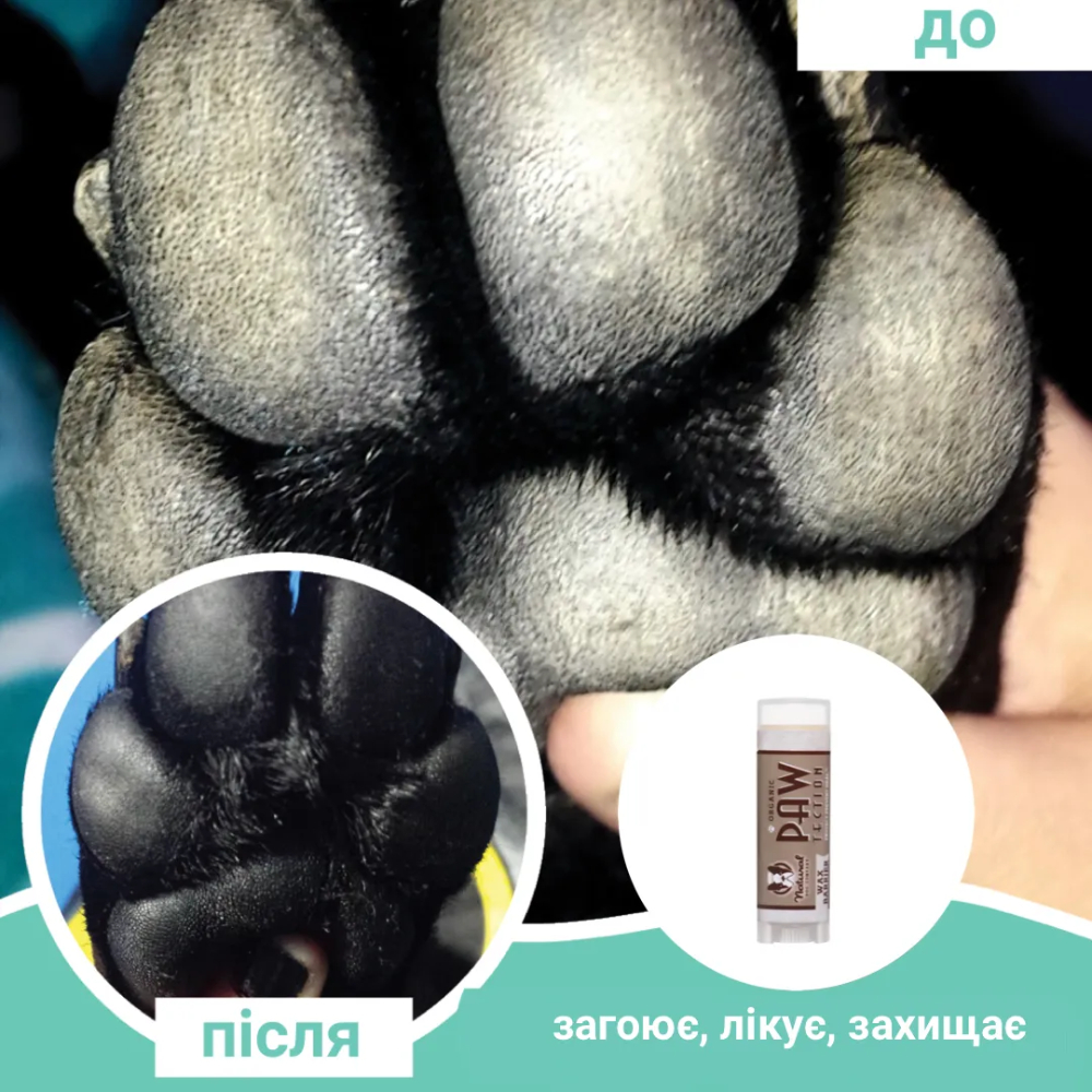 Бальзам для собак Natural Dog Company Paw Tection 4,25 мл Бальзам для собак Natural Dog Company Paw Tection 4,25 мл