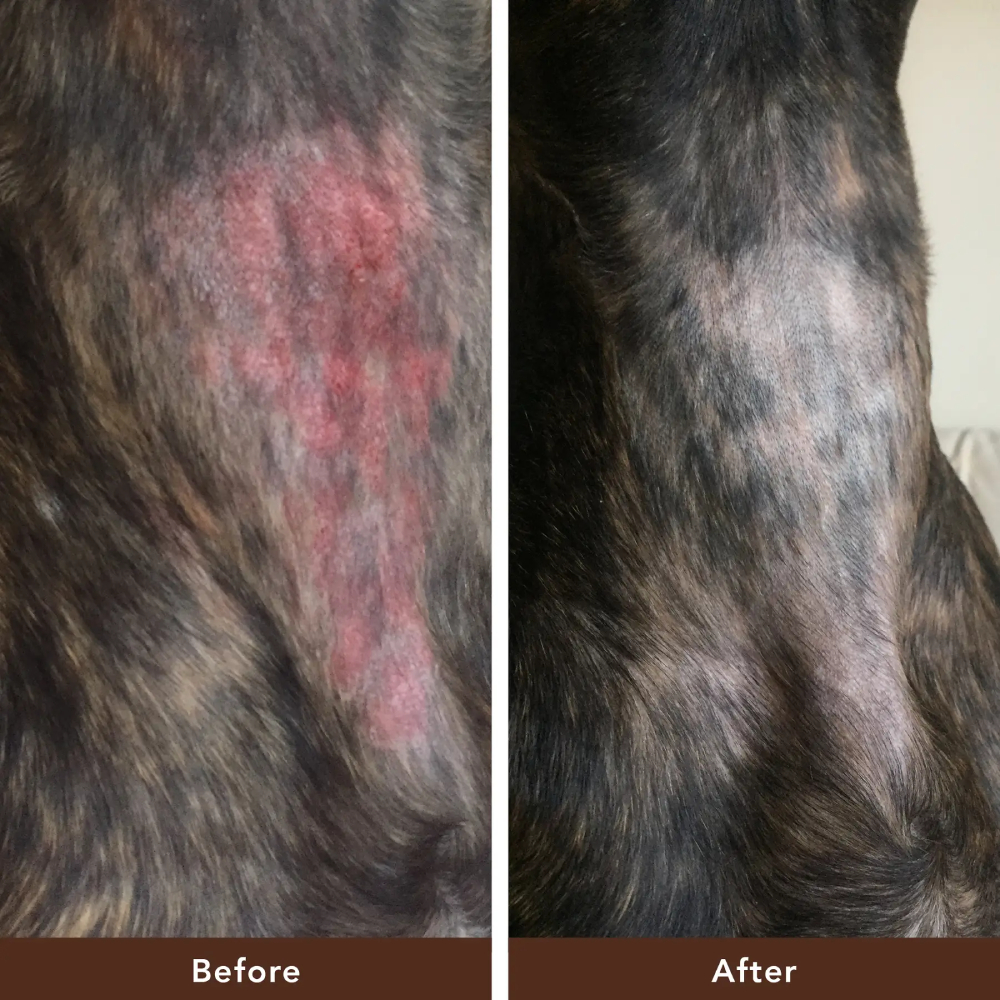 Бальзам для собак Natural Dog Company Skin Soother 4,25 мл Бальзам для собак Natural Dog Company Skin Soother 4,25 мл