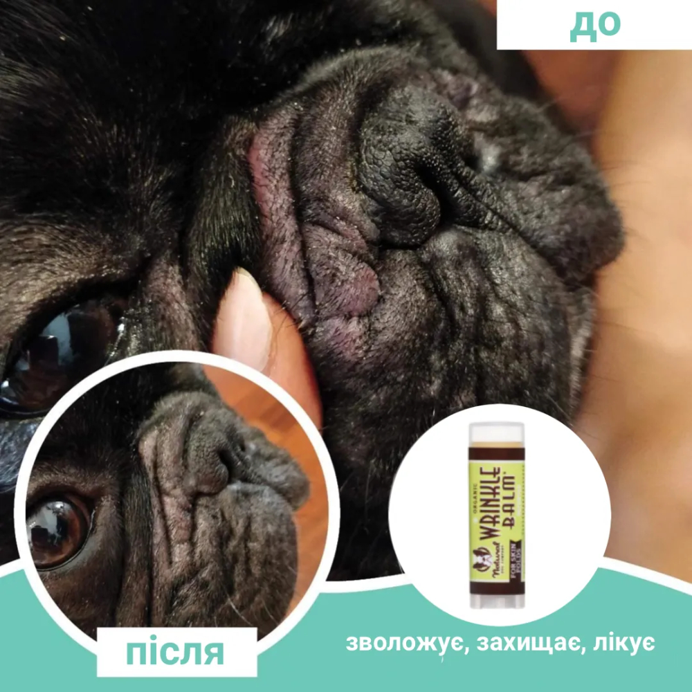 Бальзам для собак Natural Dog Company Wrinkle Balm 4,25 мл Бальзам для собак Natural Dog Company Wrinkle Balm 4,25 мл
