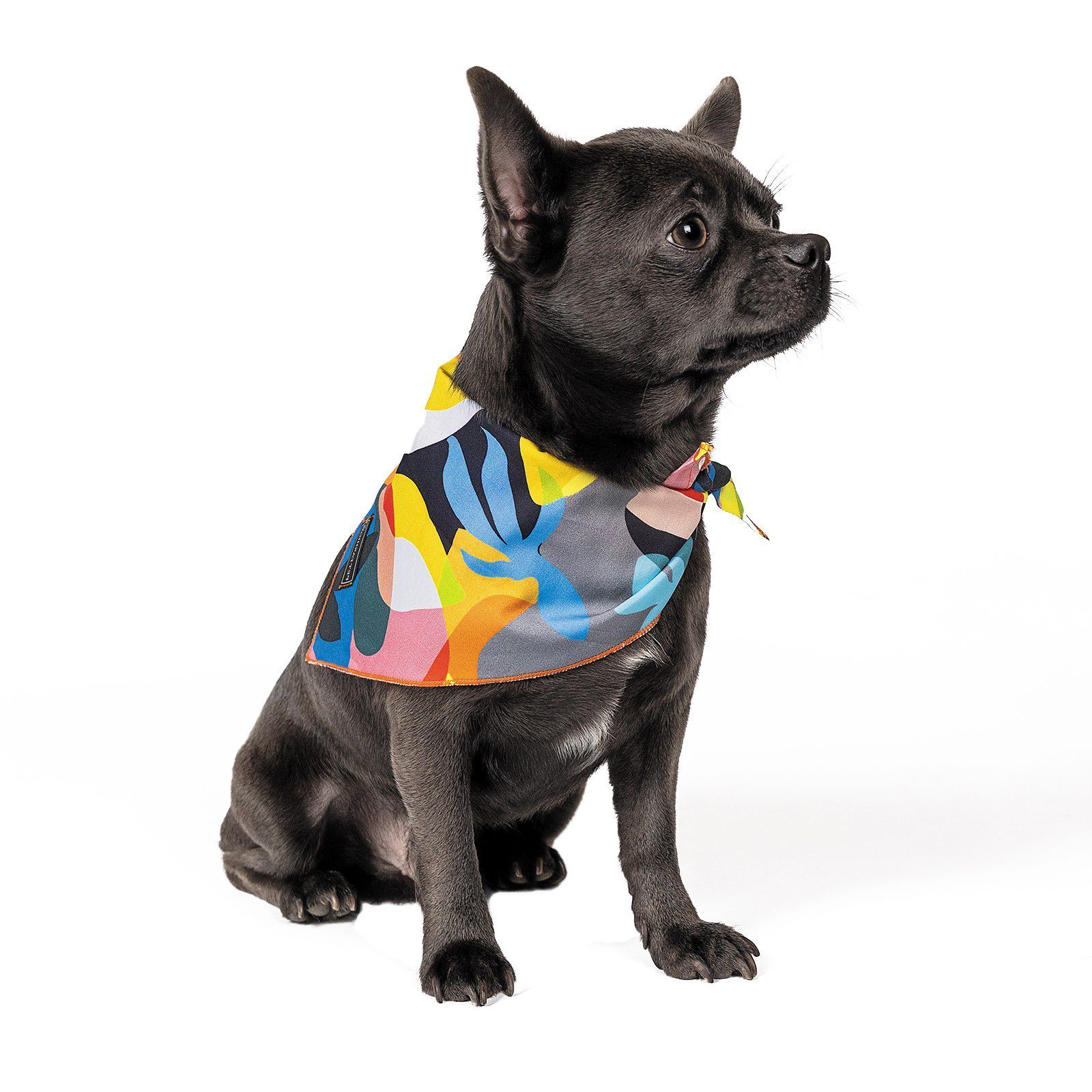 Бандана для собак Pet Fashion «WEEKEND» XS-S Бандана для собак Pet Fashion «WEEKEND» XS-S