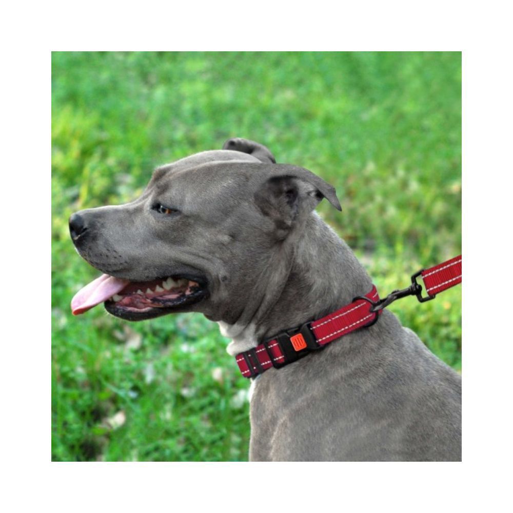 Barksi BronzeDog Active нейлоновий нашийник для собак S - червоний Barksi BronzeDog Active нейлоновий нашийник для собак S - червоний