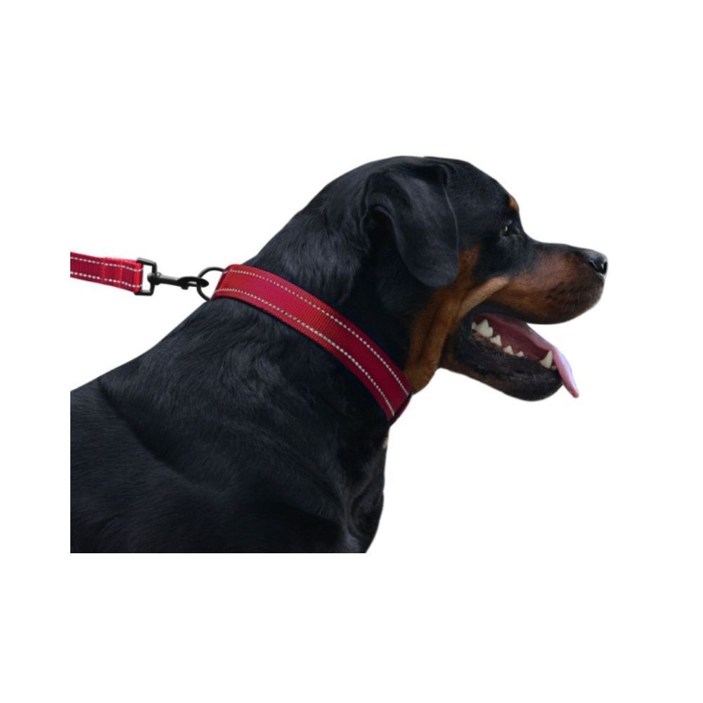 Barksi BronzeDog Active нейлоновий нашийник для собак S - червоний Barksi BronzeDog Active нейлоновий нашийник для собак S - червоний