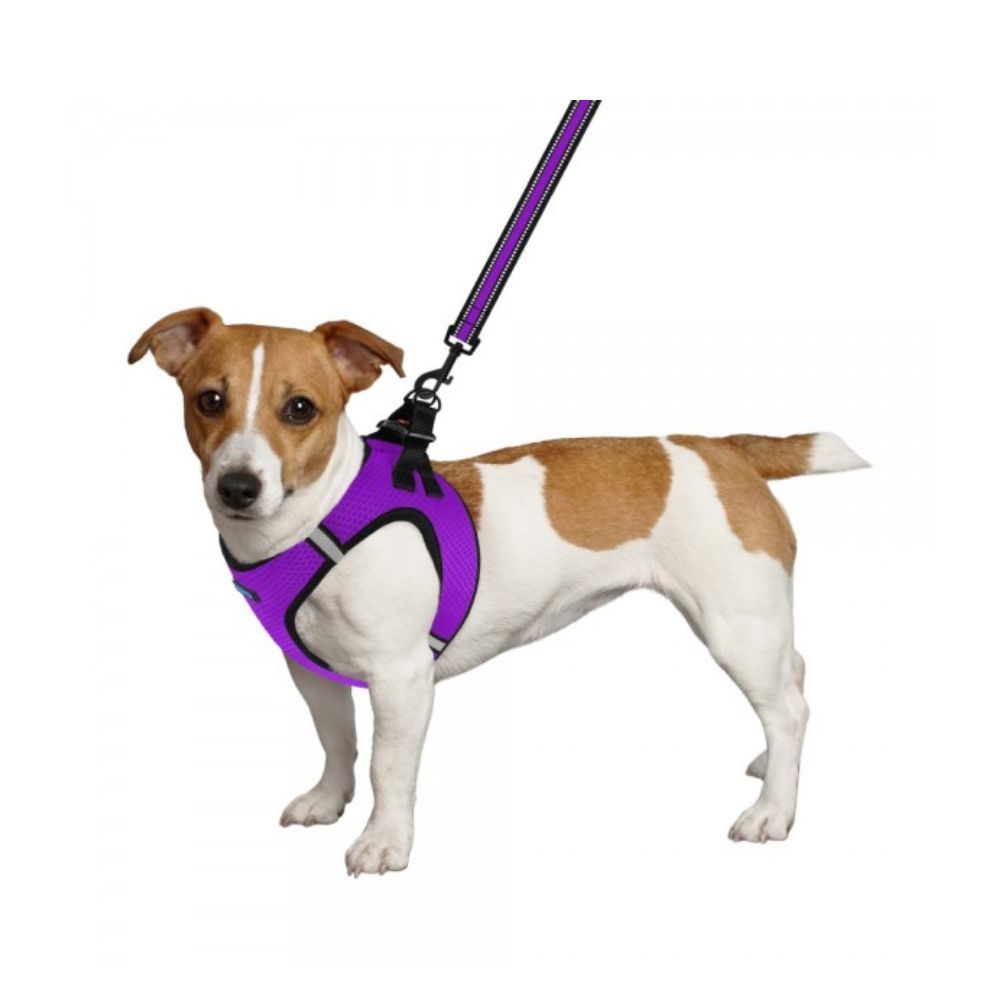 Barksi Mesh Vest шлейка для собак 4XS - фиолетовый Barksi Mesh Vest шлейка для собак 4XS - фиолетовый