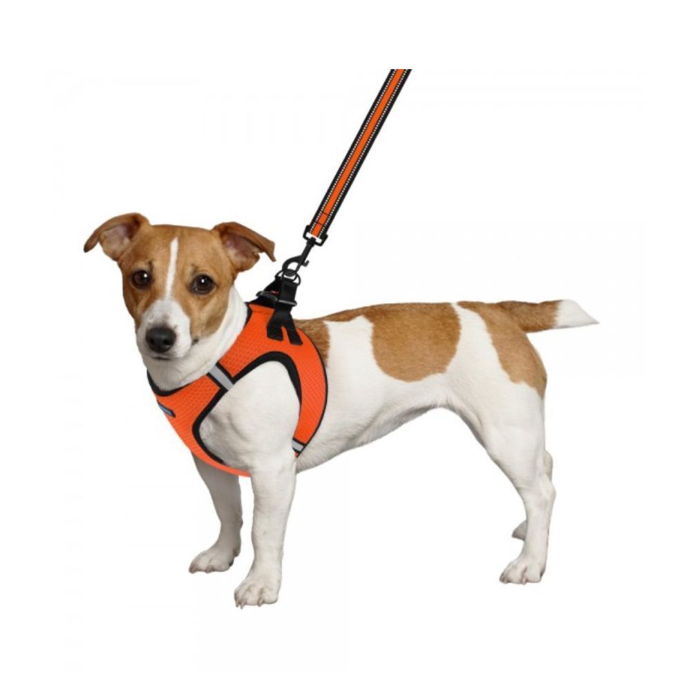 Шлейка для собак Barksi Mesh Vest - оранжевый Шлейка для собак Barksi Mesh Vest - оранжевый