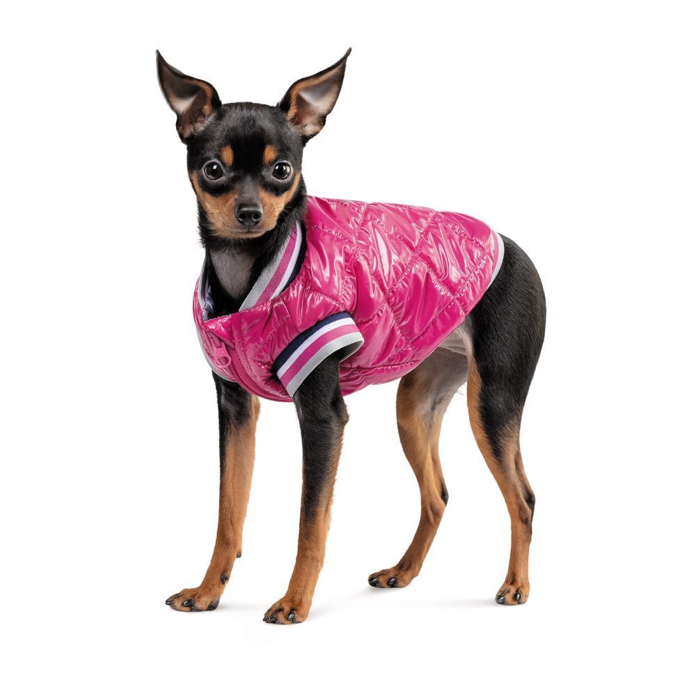 Бомбер для собак Pet Fashion «Grace» XS-2 Бомбер для собак Pet Fashion «Grace» XS-2