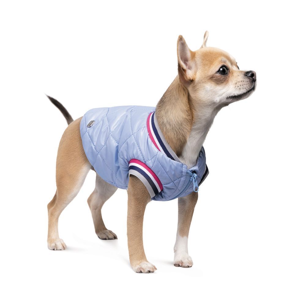Бомбер для собак Pet Fashion «Spike» XS-2 Бомбер для собак Pet Fashion «Spike» XS-2