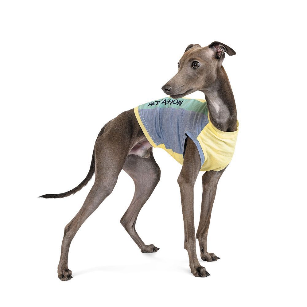 Борцівка для собак Pet Fashion «SEA SAND» XS Борцівка для собак Pet Fashion «SEA SAND» XS