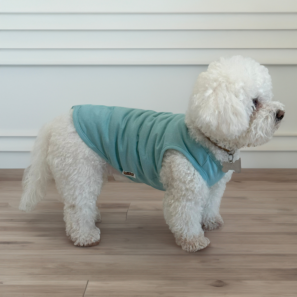 Борцівка для собак Pet Fun блакитний