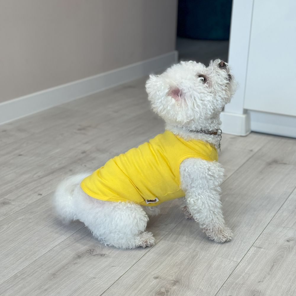 Борцівка для собак Pet Fun XS-2