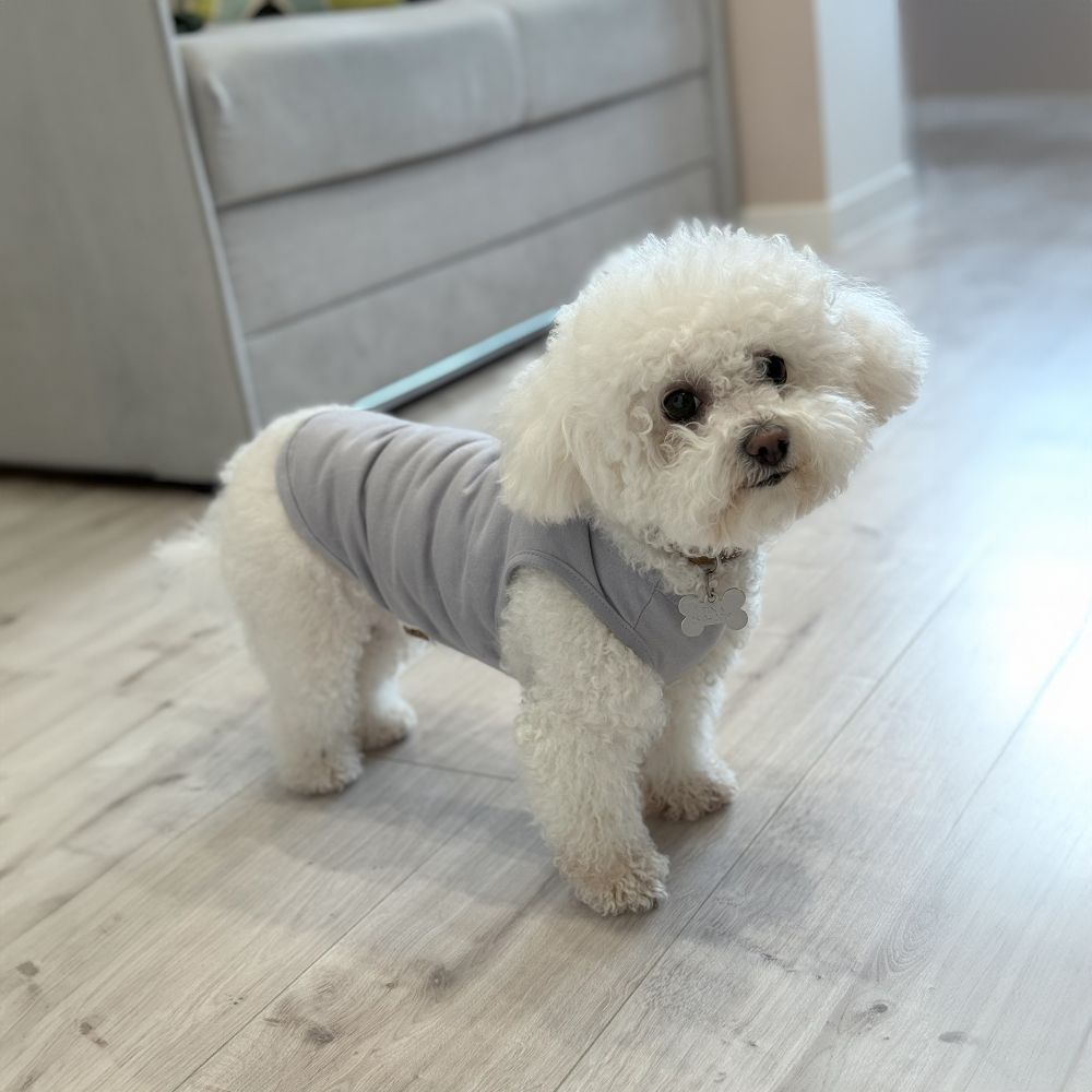 Борцівка для собак Pet Fun XS-2