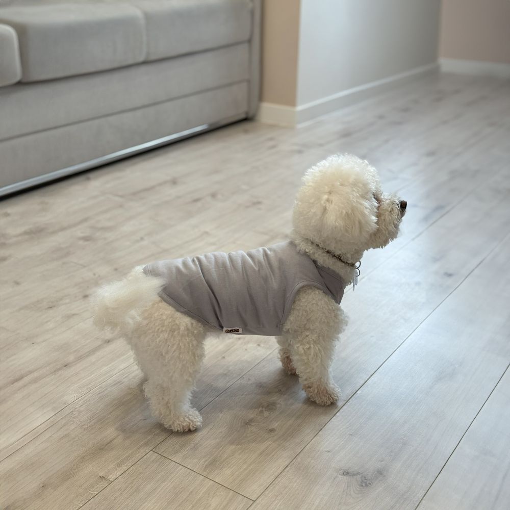 Борцівка для собак Pet Fun XS-2