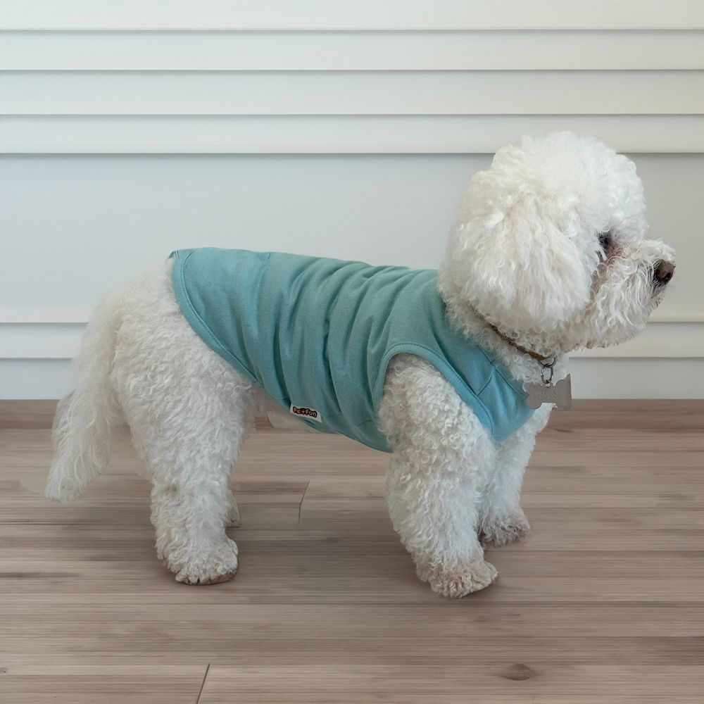 Борцівка для собак Pet Fun XS-2