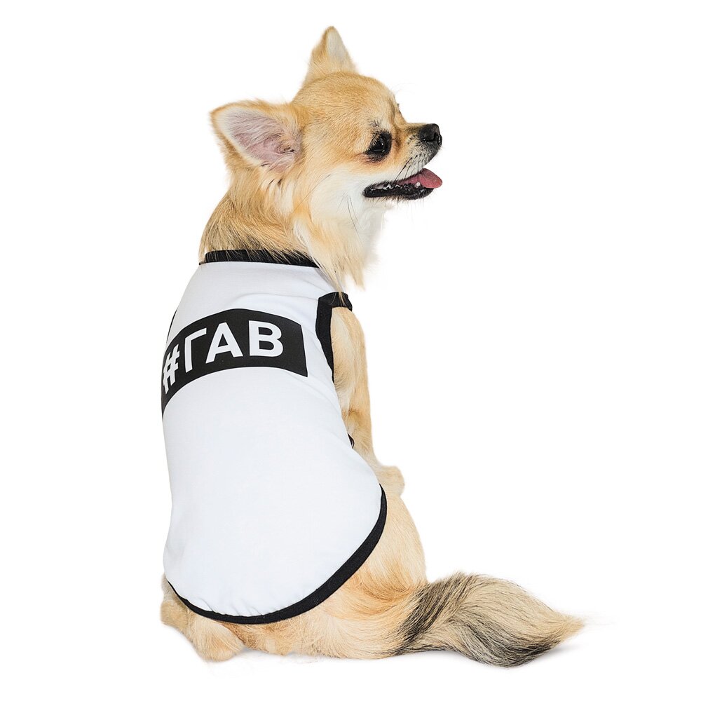 Борцовка для собак Pet Fashion «#Гав» XS
