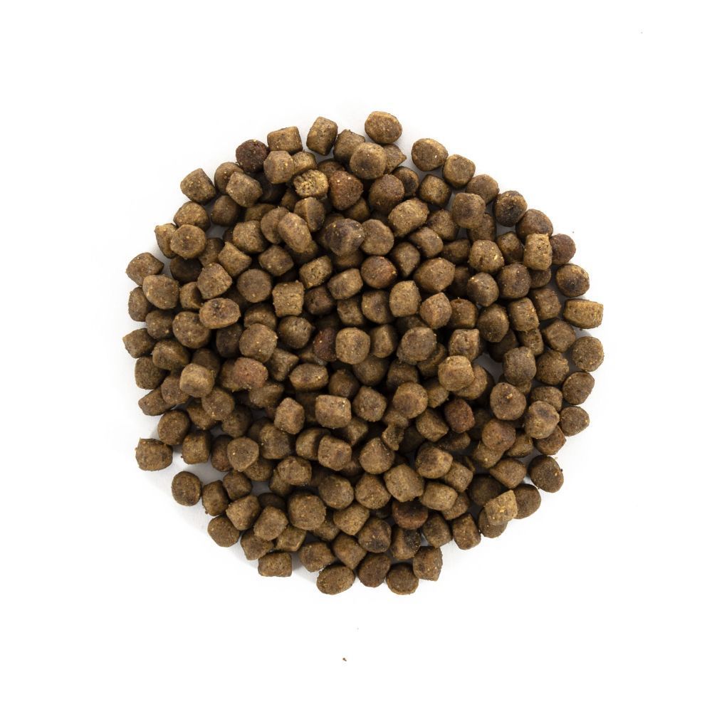 Сухий корм для котів Brit Care Cat GF Indoor Anti-stress 400 г - курка Сухий корм для котів Brit Care Cat GF Indoor Anti-stress 400 г - курка