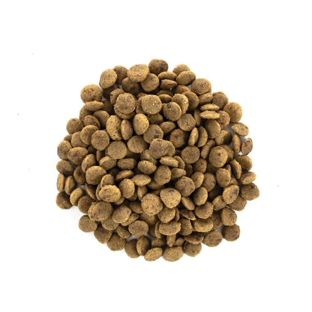 Сухий корм для котів Brit Care Cat GF Large cats Power & Vitality 400 г - курка та качка Сухий корм для котів Brit Care Cat GF Large cats Power & Vitality 400 г - курка та качка
