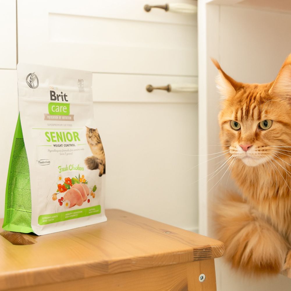 Сухий корм для котів Brit Care Cat GF Senior Weight Control 400 г - курка Сухий корм для котів Brit Care Cat GF Senior Weight Control 400 г - курка