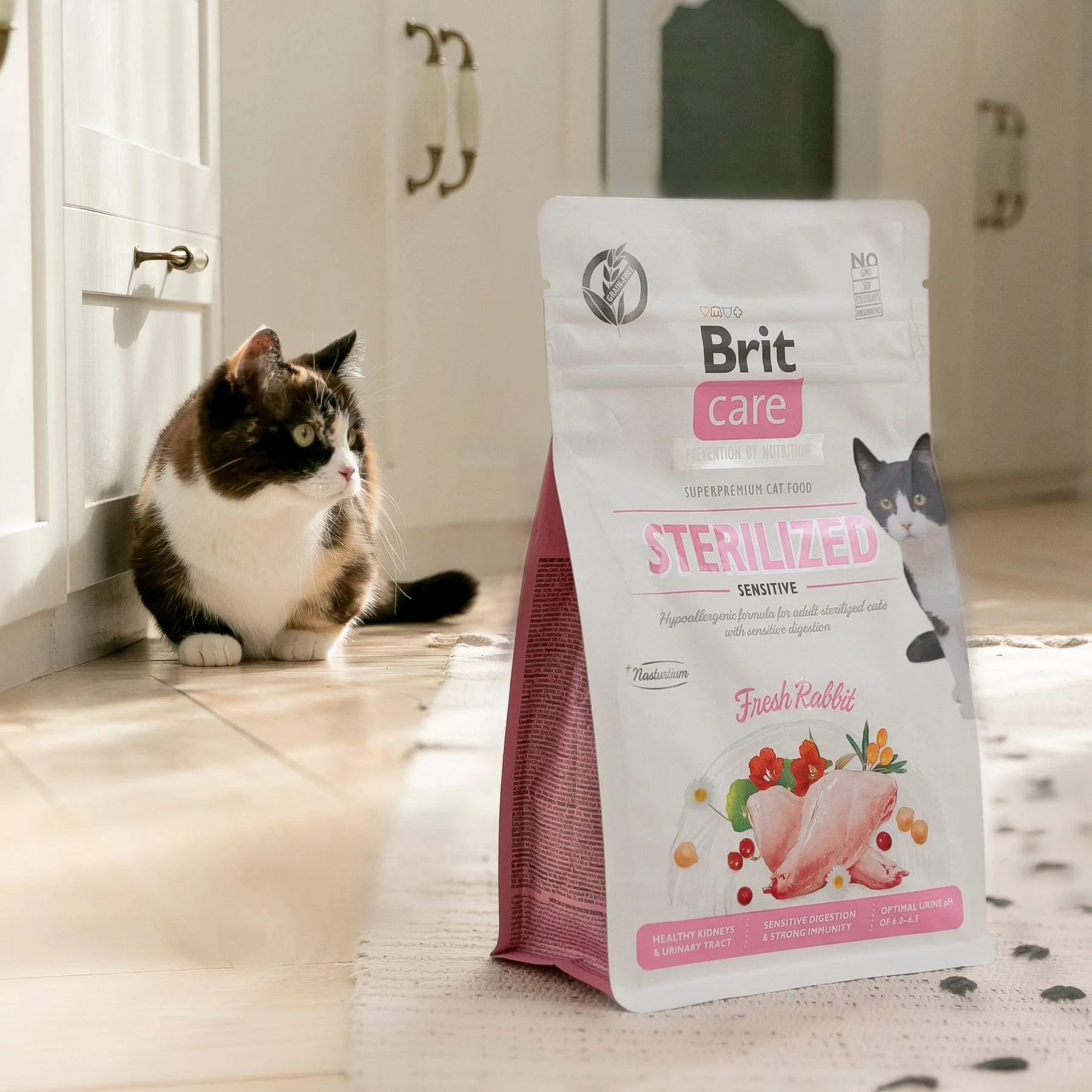 Сухий корм для котів Brit Care Cat Grain Free Sterilized Sensitive 400 г - кролик