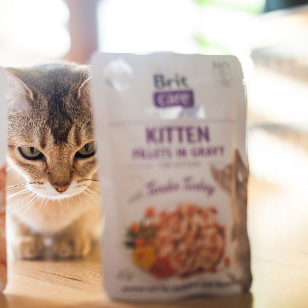 Brit Care Cat pouch влажный корм для котят 85 г - индейка