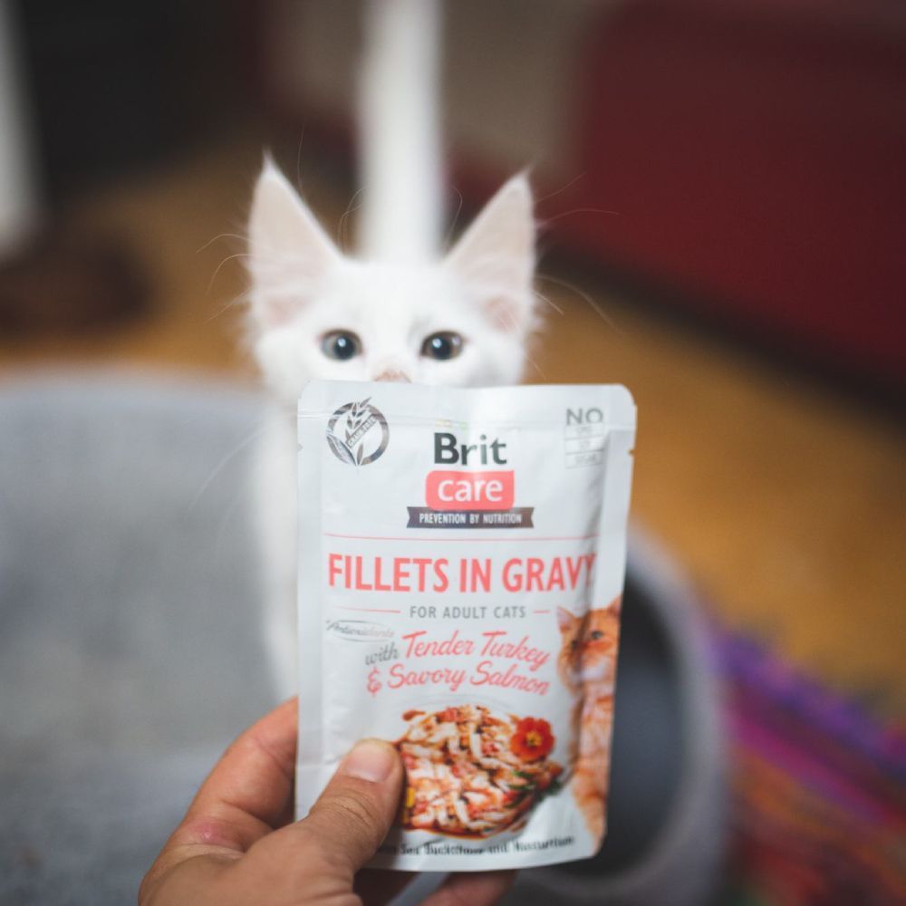 Brit Care Cat pouch влажный корм для кошек 85 г - индейка и лосось