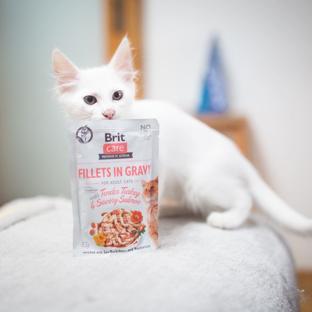 Brit Care Cat pouch влажный корм для кошек 85 г - индейка и лосось