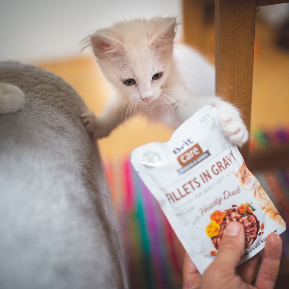 Brit Care Cat pouch влажный корм для кошек 85 г - утка